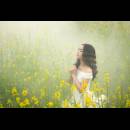 fog-3050078_1280